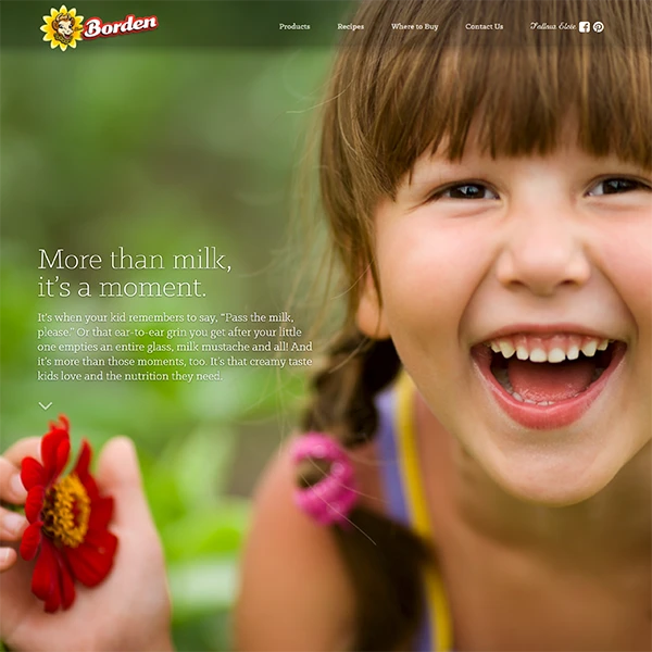 Borden Dairy Website