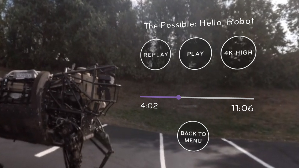 Video controls